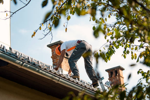 Best Flat Roof Repair Services  in Lake Catherine, IL