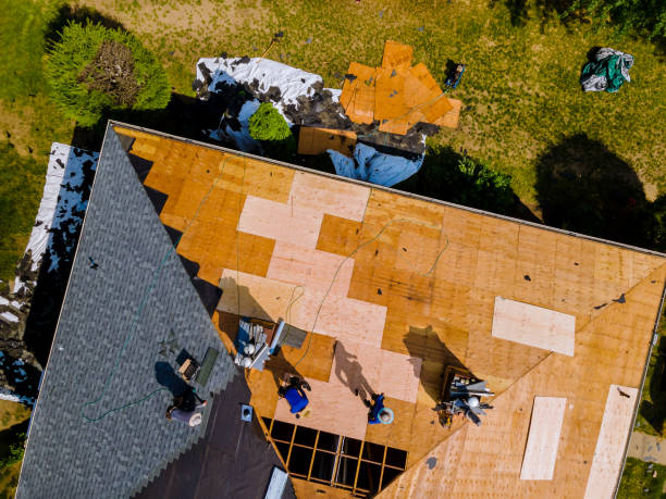 Best Gutter Installation and Roofing  in Lake Catherine, IL