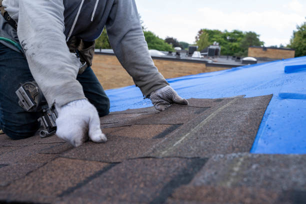 Best Metal Roofing Contractor  in Lake Catherine, IL