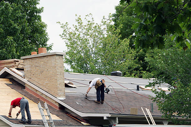 Best Residential Roofing Contractor  in Lake Catherine, IL
