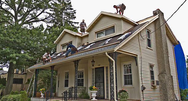 Best Roof Leak Repair  in Lake Catherine, IL