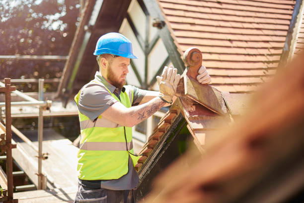 Best Commercial Roofing Services  in Lake Catherine, IL