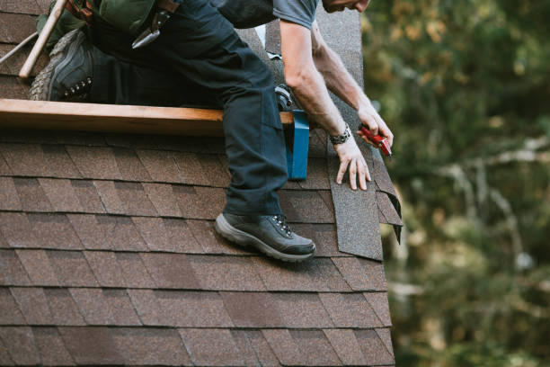 Best Residential Roofing Contractor  in Lake Catherine, IL